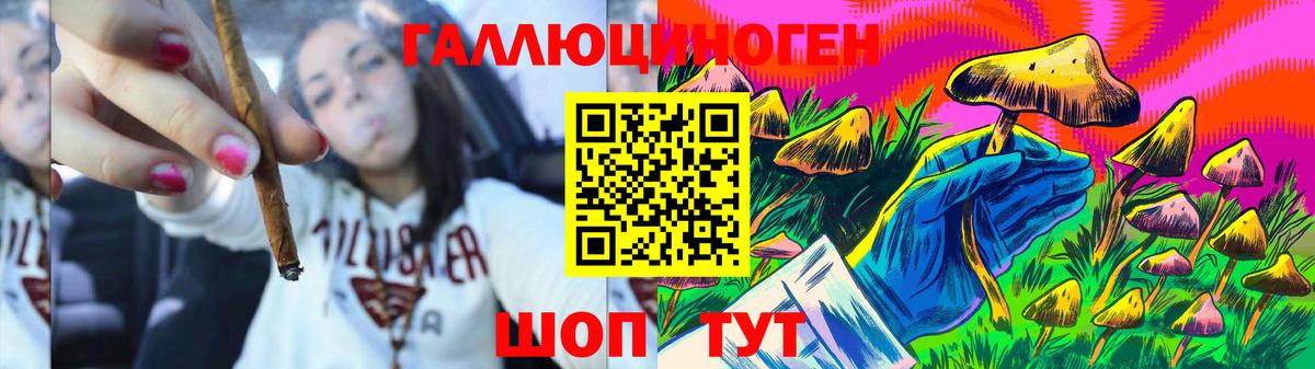 Псилоцибиновые грибы прущие грибы Москва