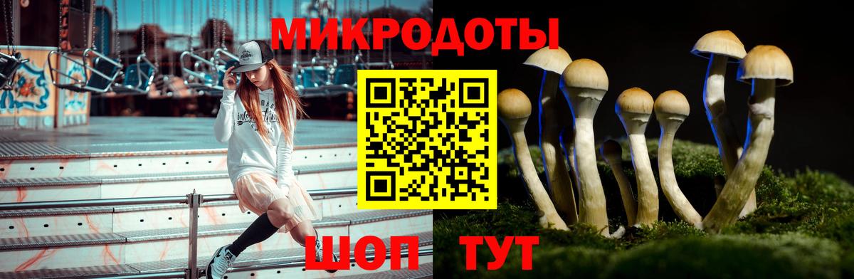 Москва  купить наркотики сайты  Вход с VPN  Псилоцибиновые грибы Psilocybe 